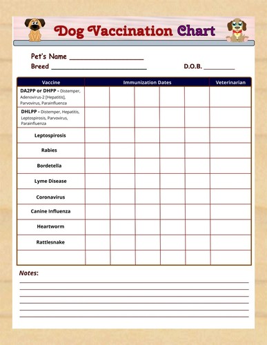 Dry erase dog vaccination - erase,