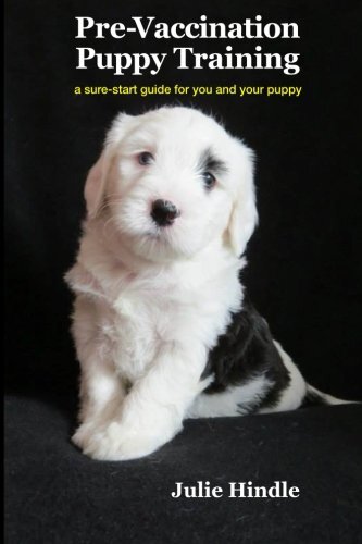 Pre vaccination puppy training - pre-vaccination,